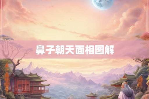 鼻子朝天面相图解