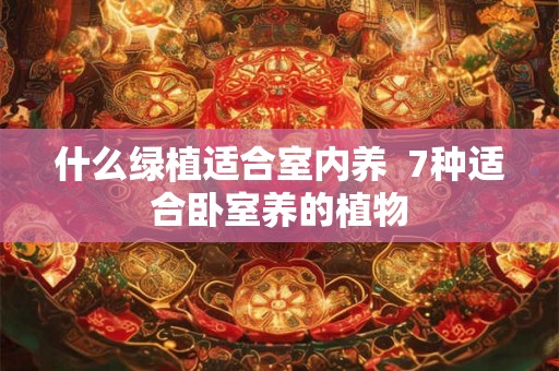 什么绿植适合室内养  7种适合卧室养的植物