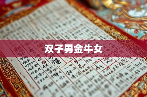 双子男金牛女