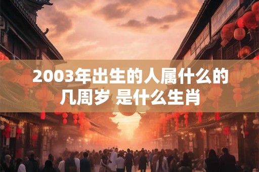 2003年出生的人属什么的几周岁 是什么生肖