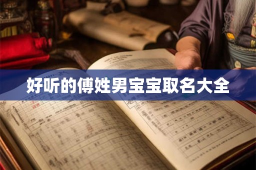 好听的傅姓男宝宝取名大全