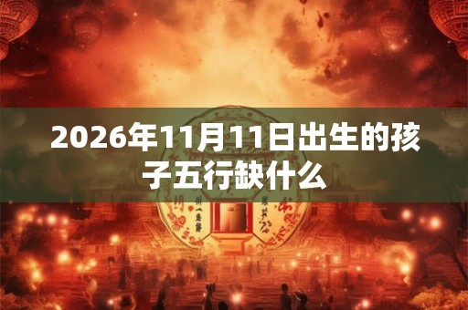 2026年11月11日出生的孩子五行缺什么