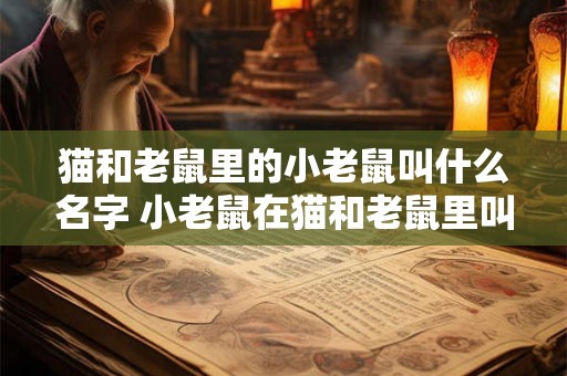 猫和老鼠里的小老鼠叫什么名字 小老鼠在猫和老鼠里叫什么