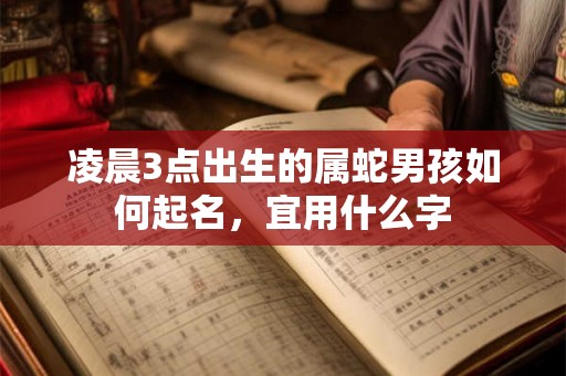 凌晨3点出生的属蛇男孩如何起名，宜用什么字