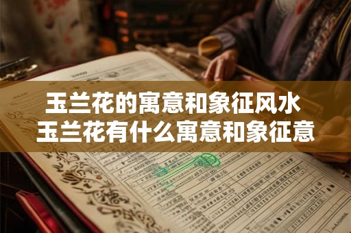 玉兰花的寓意和象征风水 玉兰花有什么寓意和象征意义其在风水学中有何重要性