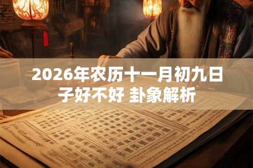 2026年农历十一月初九日子好不好 卦象解析