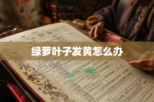绿萝叶子发黄怎么办