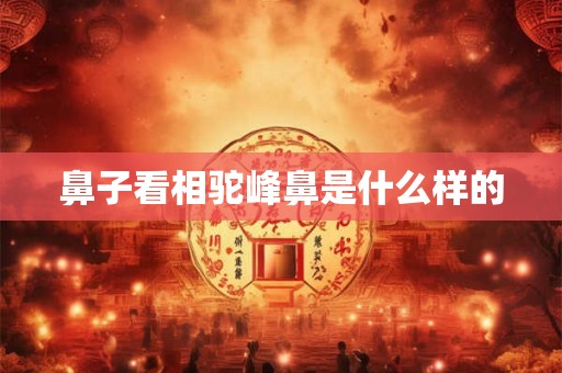 鼻子看相驼峰鼻是什么样的