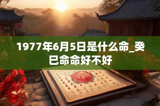 1977年6月5日是什么命_癸巳命命好不好