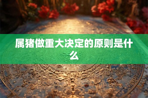 属猪做重大决定的原则是什么