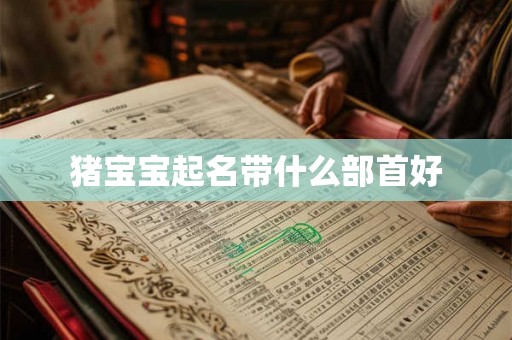 猪宝宝起名带什么部首好 猪宝宝起名带什么部首好