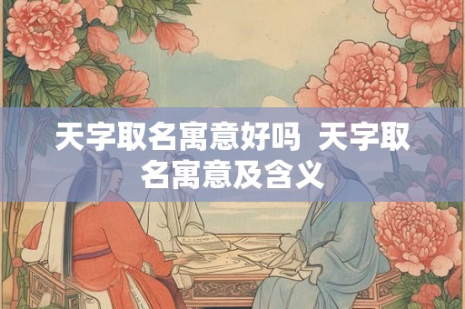 天字取名寓意好吗  天字取名寓意及含义