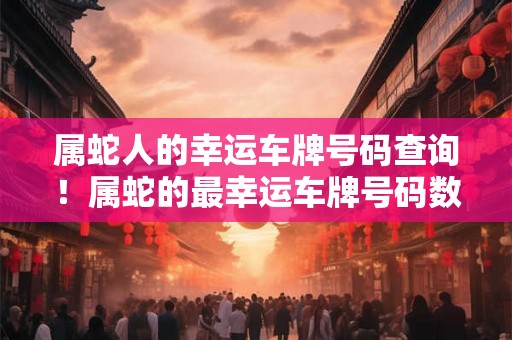 属蛇人的幸运车牌号码查询！属蛇的最幸运车牌号码数字