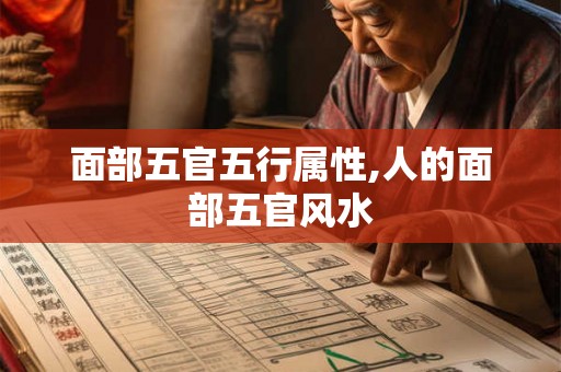 面部五官五行属性,人的面部五官风水