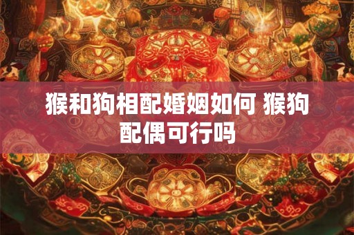猴和狗相配婚姻如何 猴狗配偶可行吗
