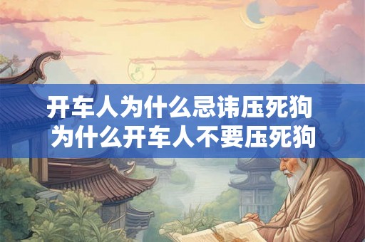 开车人为什么忌讳压死狗 为什么开车人不要压死狗