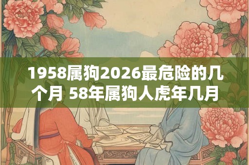 1958属狗2026最危险的几个月 58年属狗人虎年几月危险