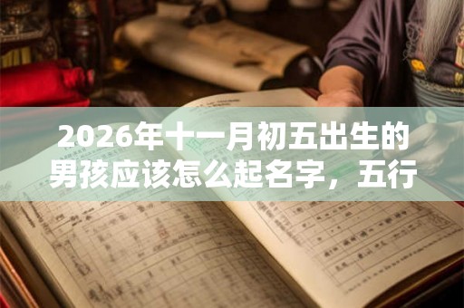 2026年十一月初五出生的男孩应该怎么起名字，五行属什么