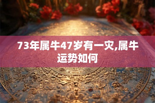 73年属牛47岁有一灾,属牛运势如何