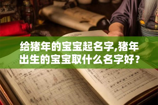 给猪年的宝宝起名字,猪年出生的宝宝取什么名字好？
