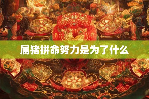 属猪拼命努力是为了什么