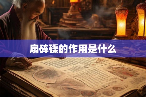 扇砗磲的作用是什么