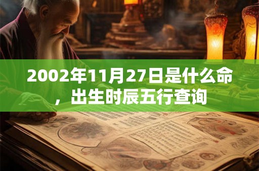 2002年11月27日是什么命，出生时辰五行查询