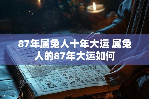 87年属兔人十年大运 属兔人的87年大运如何