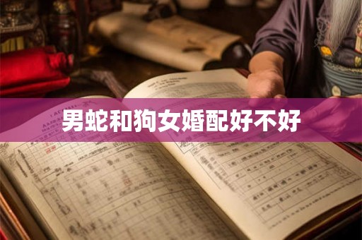 男蛇和狗女婚配好不好