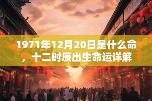 1971年12月20日是什么命,十二时辰出生命运详解 1971年12月20日是什么命,十二时辰出生命运详解