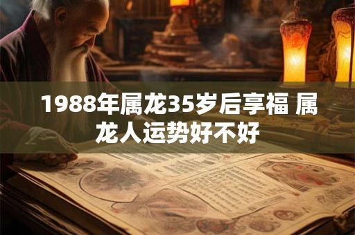 1988年属龙35岁后享福 属龙人运势好不好