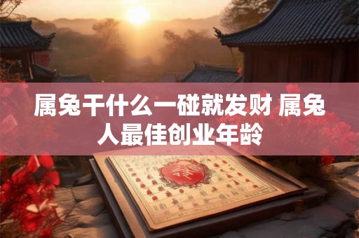 属兔干什么一碰就发财 属兔人最佳创业年龄