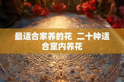 最适合家养的花  二十种适合室内养花