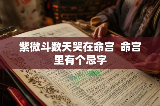 紫微斗数天哭在命宫  命宫里有个忌字