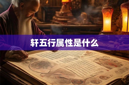轩五行属性是什么