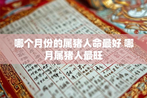 哪个月份的属猪人命最好 哪月属猪人最旺