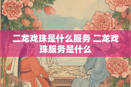 二龙戏珠是什么服务 二龙戏珠服务是什么