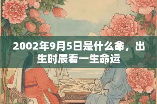 2002年9月5日是什么命，出生时辰看一生命运