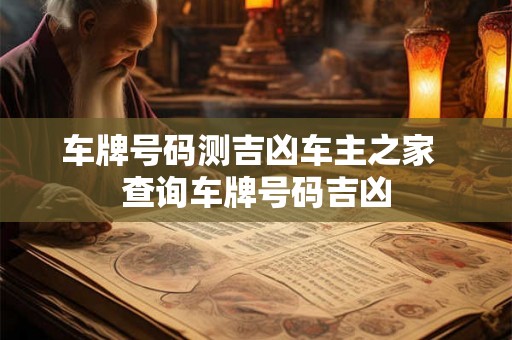 车牌号码测吉凶车主之家  查询车牌号码吉凶