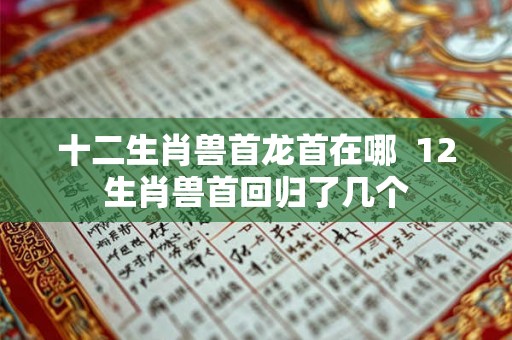 十二生肖兽首龙首在哪  12生肖兽首回归了几个