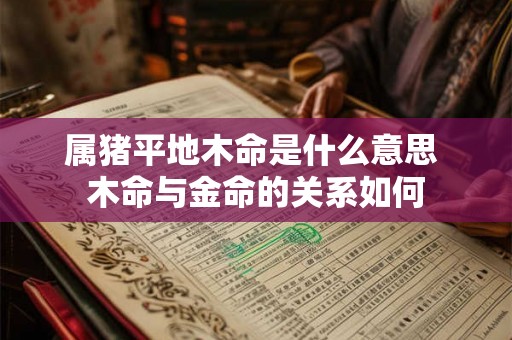 属猪平地木命是什么意思 木命与金命的关系如何