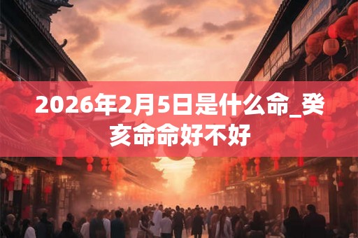 2026年2月5日是什么命_癸亥命命好不好