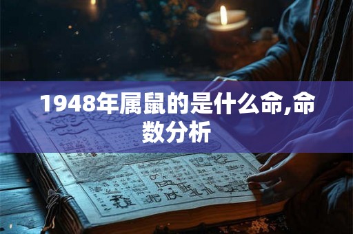 1948年属鼠的是什么命,命数分析