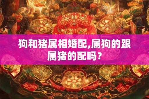 狗和猪属相婚配,属狗的跟属猪的配吗？