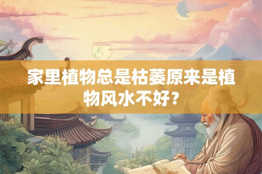 家里植物总是枯萎原来是植物风水不好？