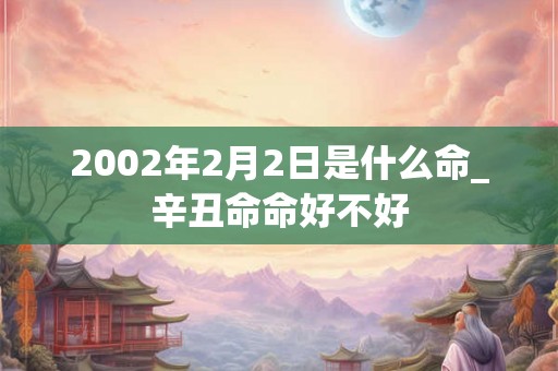 2002年2月2日是什么命_辛丑命命好不好