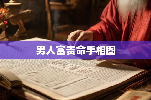 男人富贵命手相图
