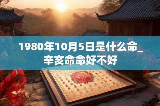 1980年10月5日是什么命_辛亥命命好不好