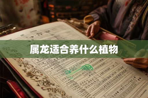 属龙适合养什么植物