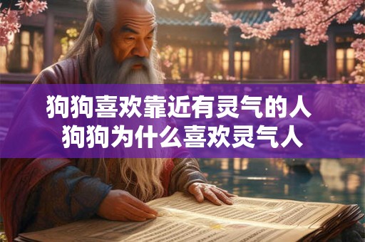 狗狗喜欢靠近有灵气的人 狗狗为什么喜欢灵气人